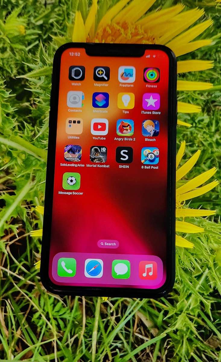 iPhone XR