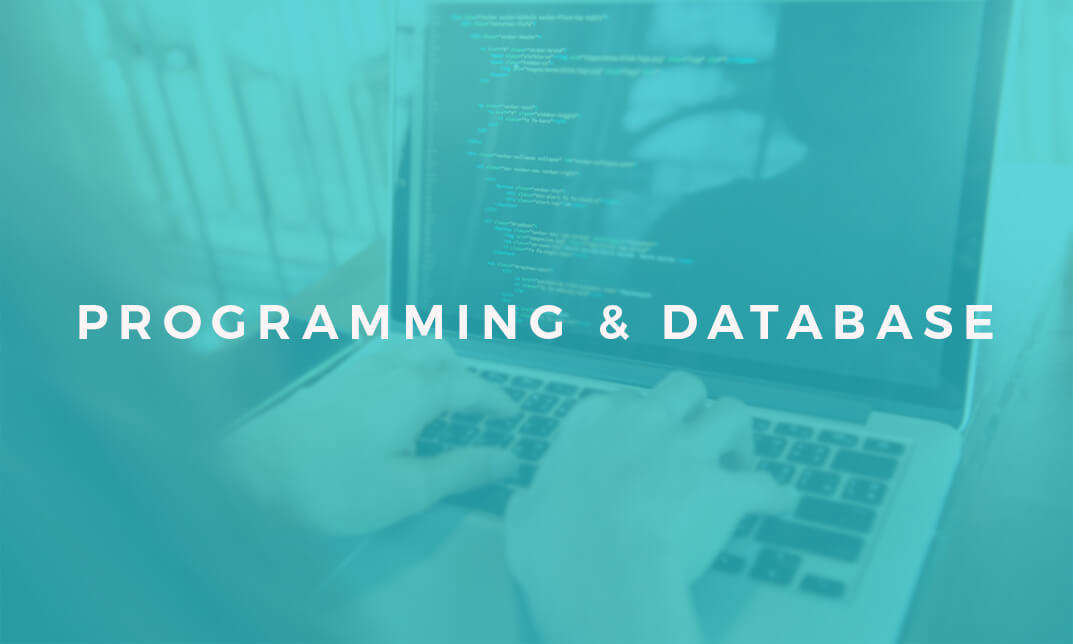 Programming and Database Diploma Level 3) online course