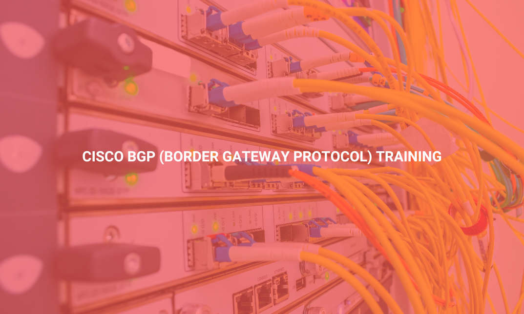 Cisco BGP (Border Gateway Protocol) Training  online course