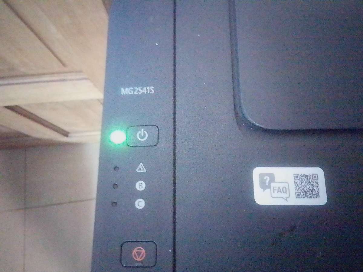 CANON INK PRINTER PIXMA 3 IN1 MG2541S