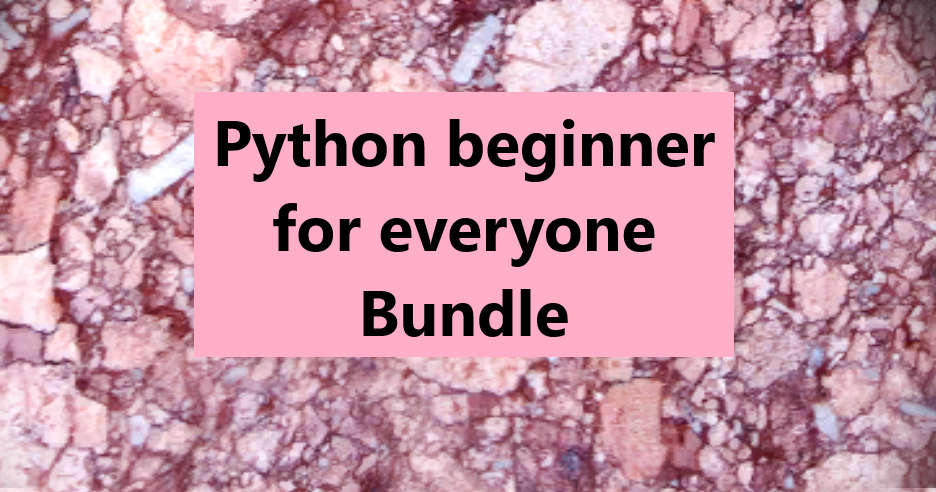 Python beginner for everyone Bundle
