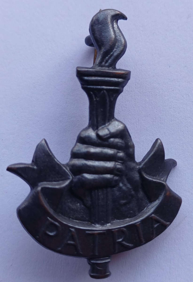 WW2 SA Youth Brigade Cap Badge (With Lugs & Pin)