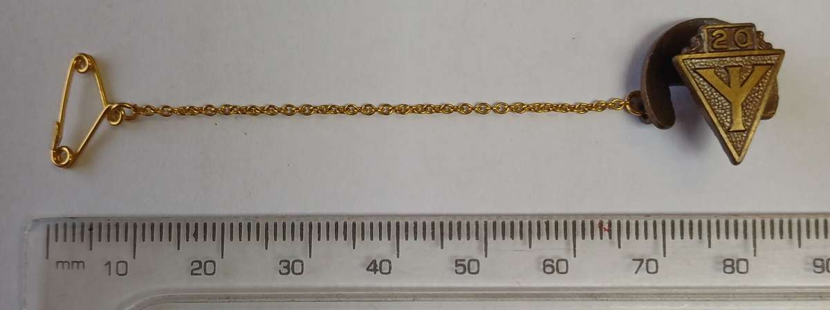 YSKOR - LAPEL PIN (BRONZE)