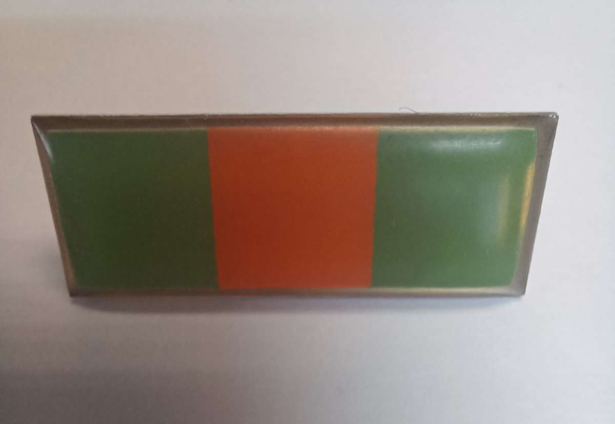 SADF - COMMANDO BERET BAR (PINS INTACT)