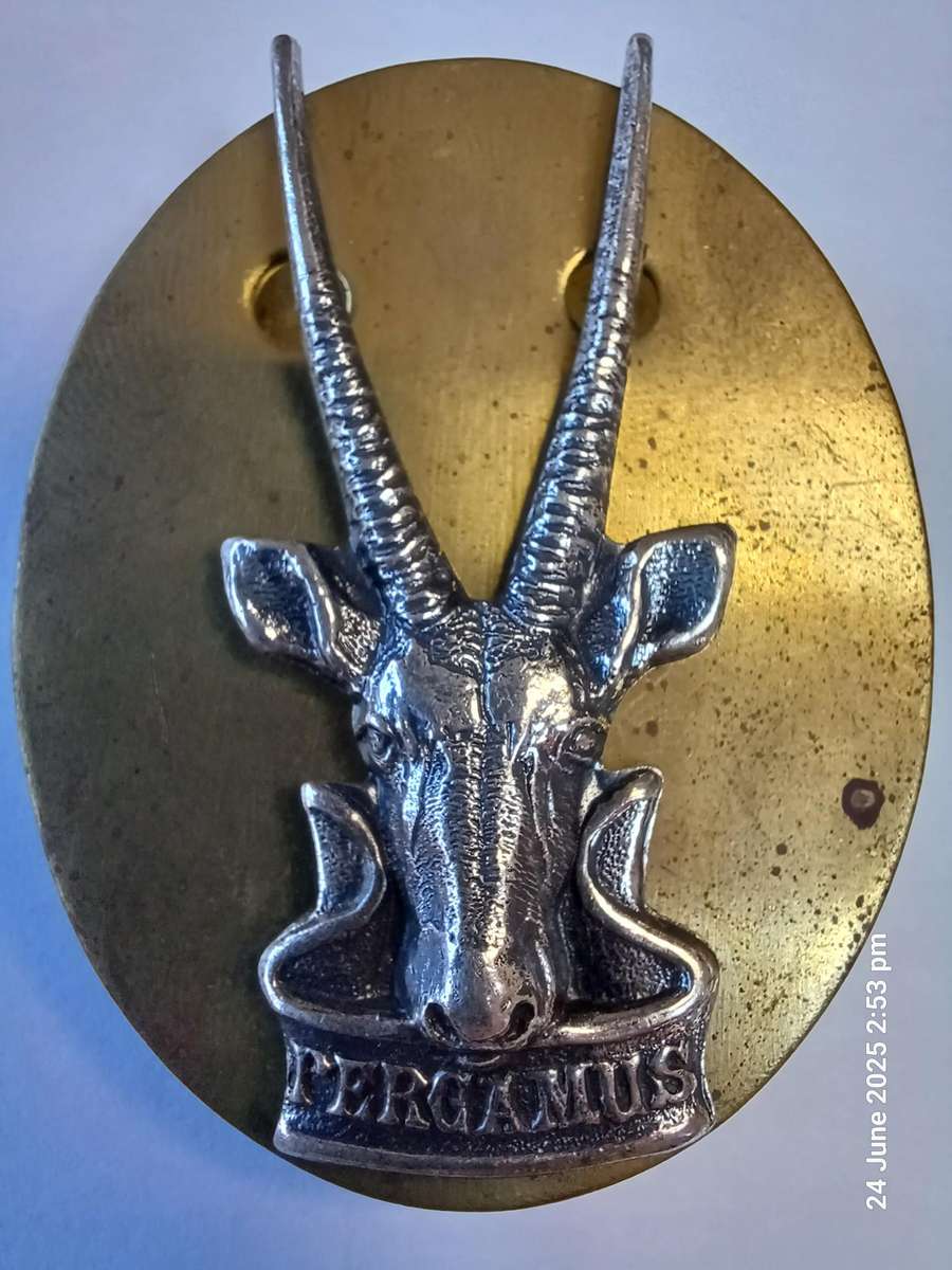 S.W.A. TERRITORIAL FORCE HQ CAP BADGE & BACKING PLATE - PINS INTACT