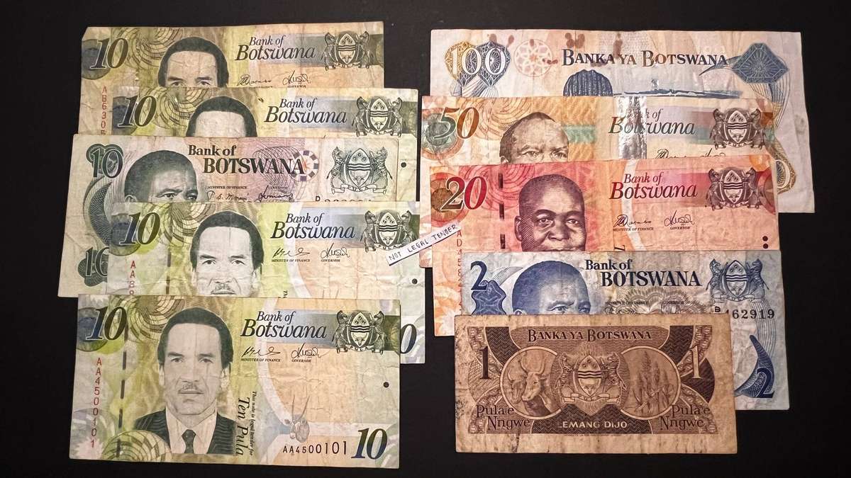 Botswana Pula Banknote Bundle | Bank of Botswana | 10 Notes | Circulated