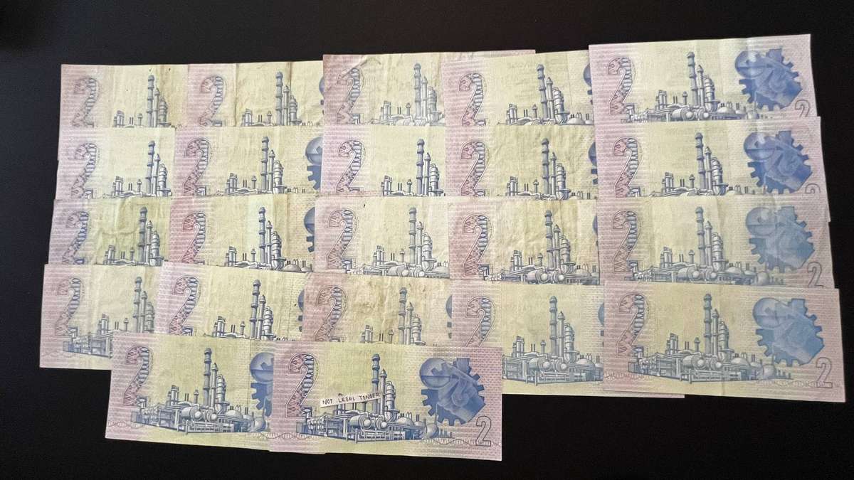 South African Two Rand Banknote Bundle | Suid-Afrikaanse Reserwebank | 22 Notes