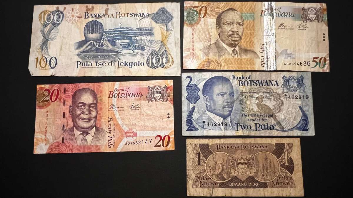 Botswana Pula Banknote Bundle | Bank of Botswana | 10 Notes | Circulated