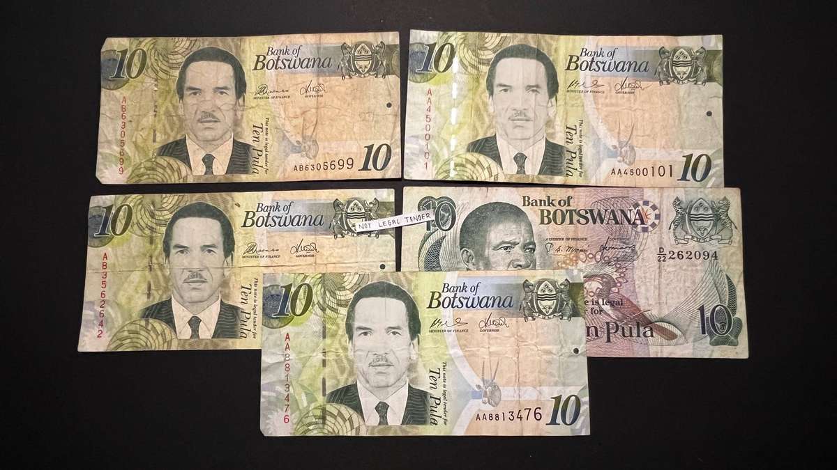 Botswana Pula Banknote Bundle | Bank of Botswana | 10 Notes | Circulated