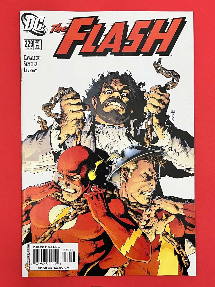  Flash DC Comics  The Flash #229 Finish Line Part Three (2006 Wally West Storyline)