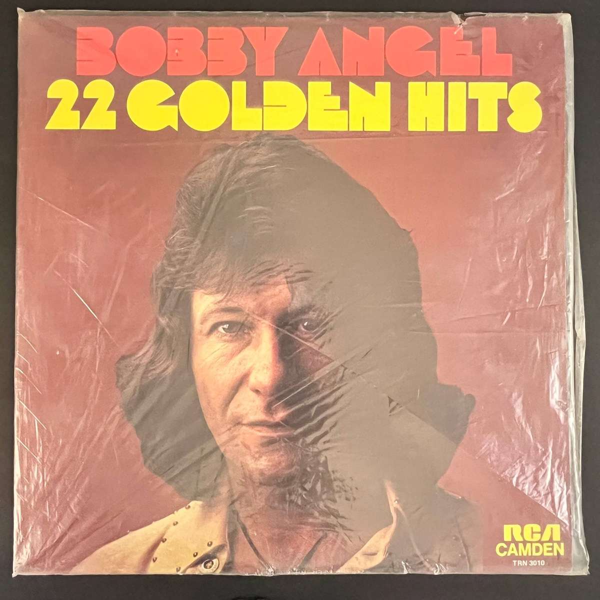 Bobby Angel 22 Golden Hits | Vinyl LP