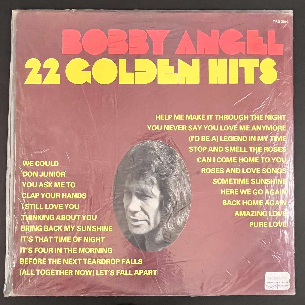 Bobby Angel 22 Golden Hits | Vinyl LP