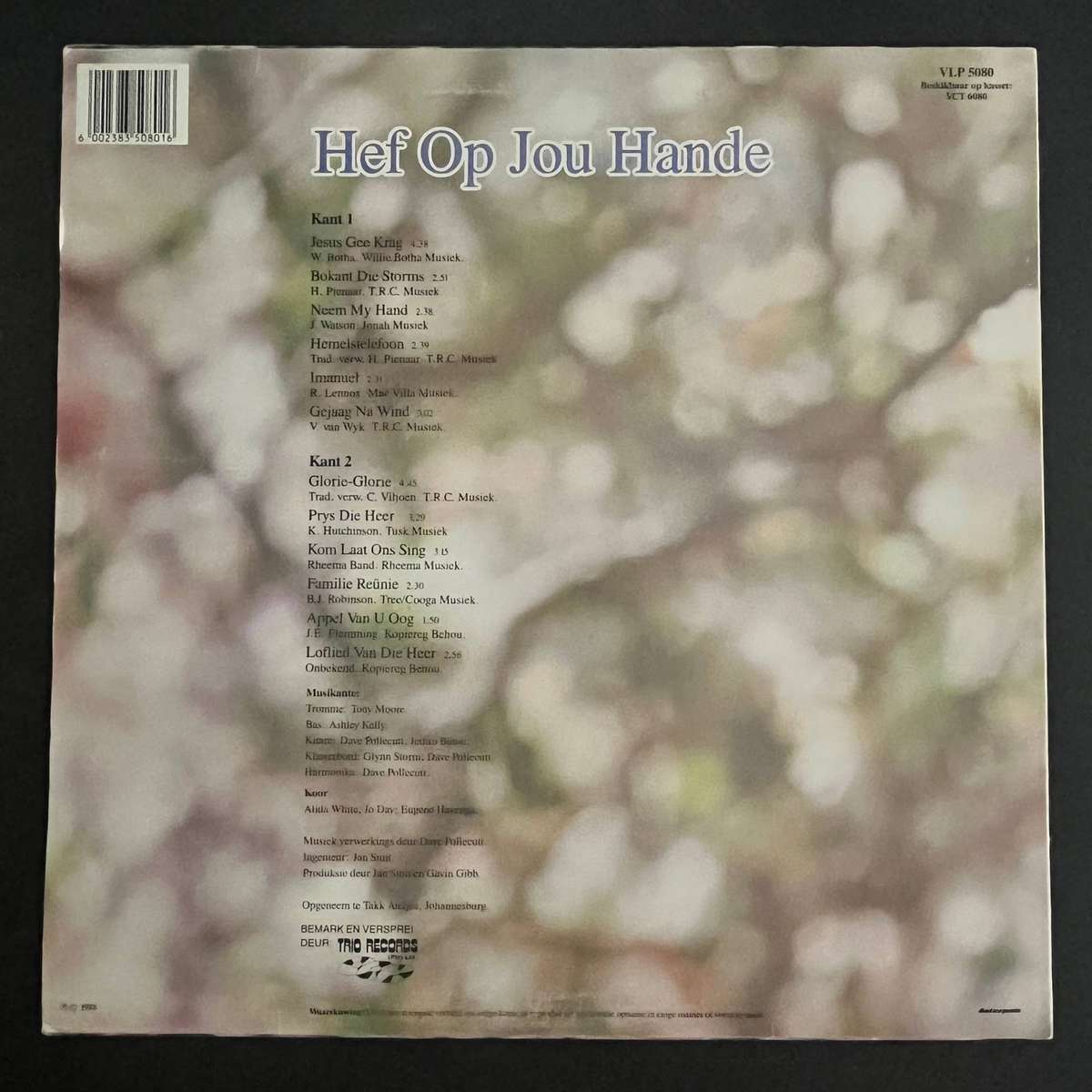 Cathy Viljoen - Hef Op Jou Hande | Vinyl LP