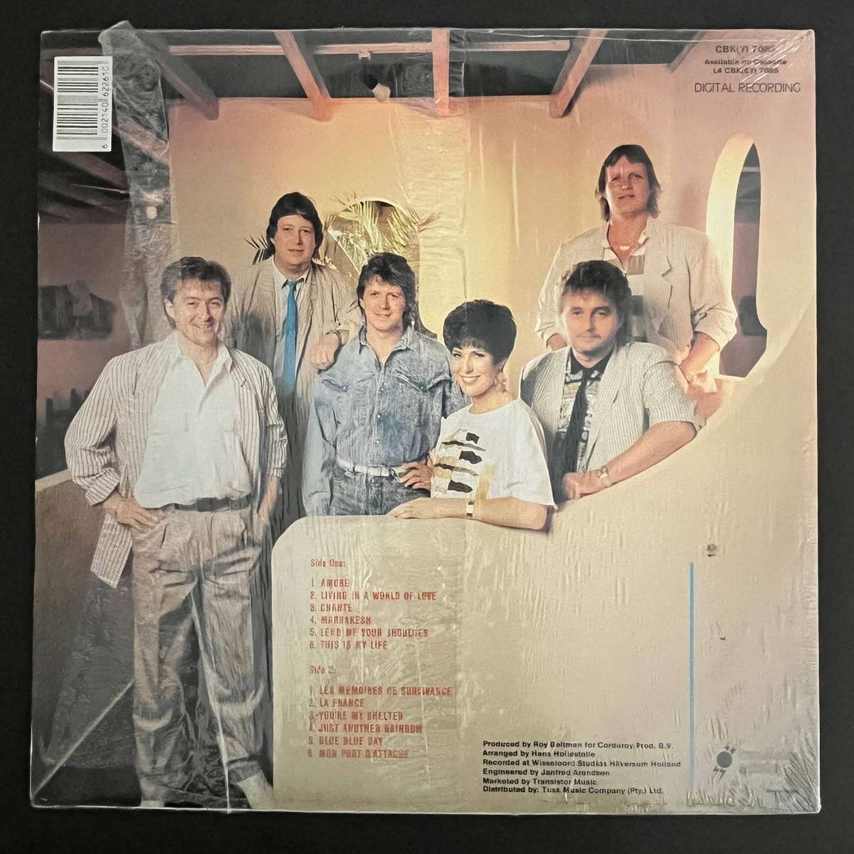 BZN - Visions  |Vinyl LP