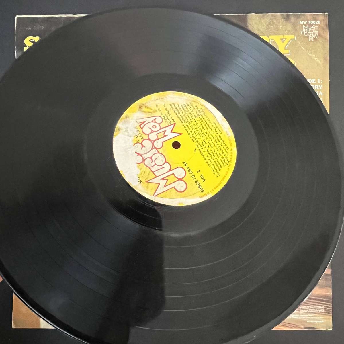 Sons to cry by - Volume two  |Vinyl LP