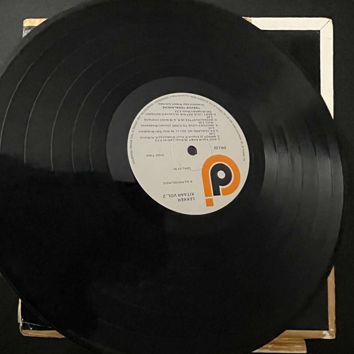 Trevor Terblanche se Lekker Kitaar | Vinyl LP