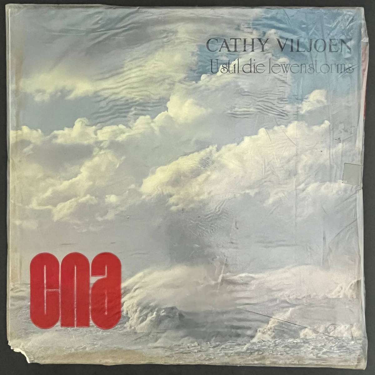 Cathy Viljoen U Stil Die Lewenstorms | Vinyl LP