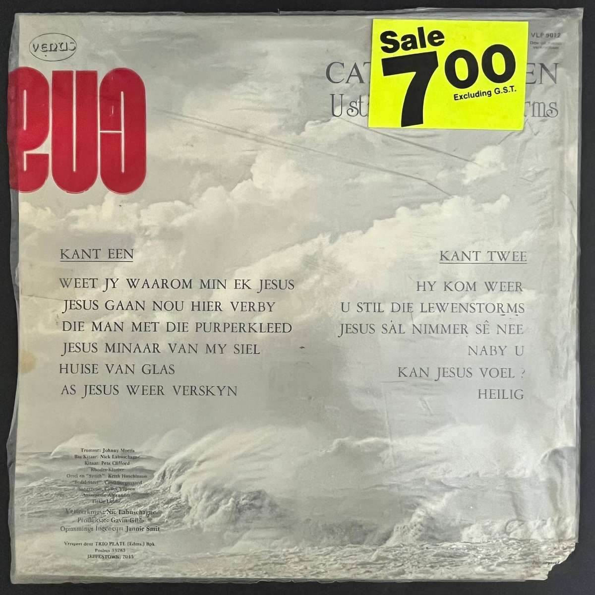 Cathy Viljoen U Stil Die Lewenstorms | Vinyl LP