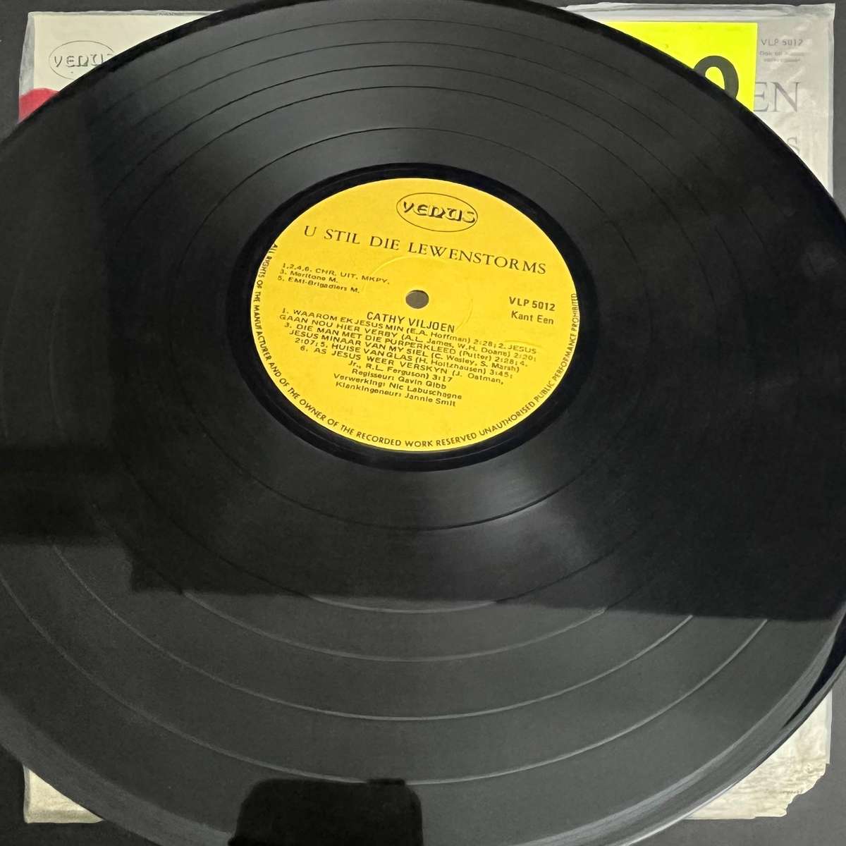 Cathy Viljoen U Stil Die Lewenstorms | Vinyl LP