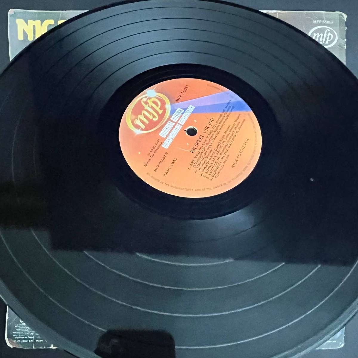 Nic Potgieter  Ek Speel Vir Jou | Vinyl LP