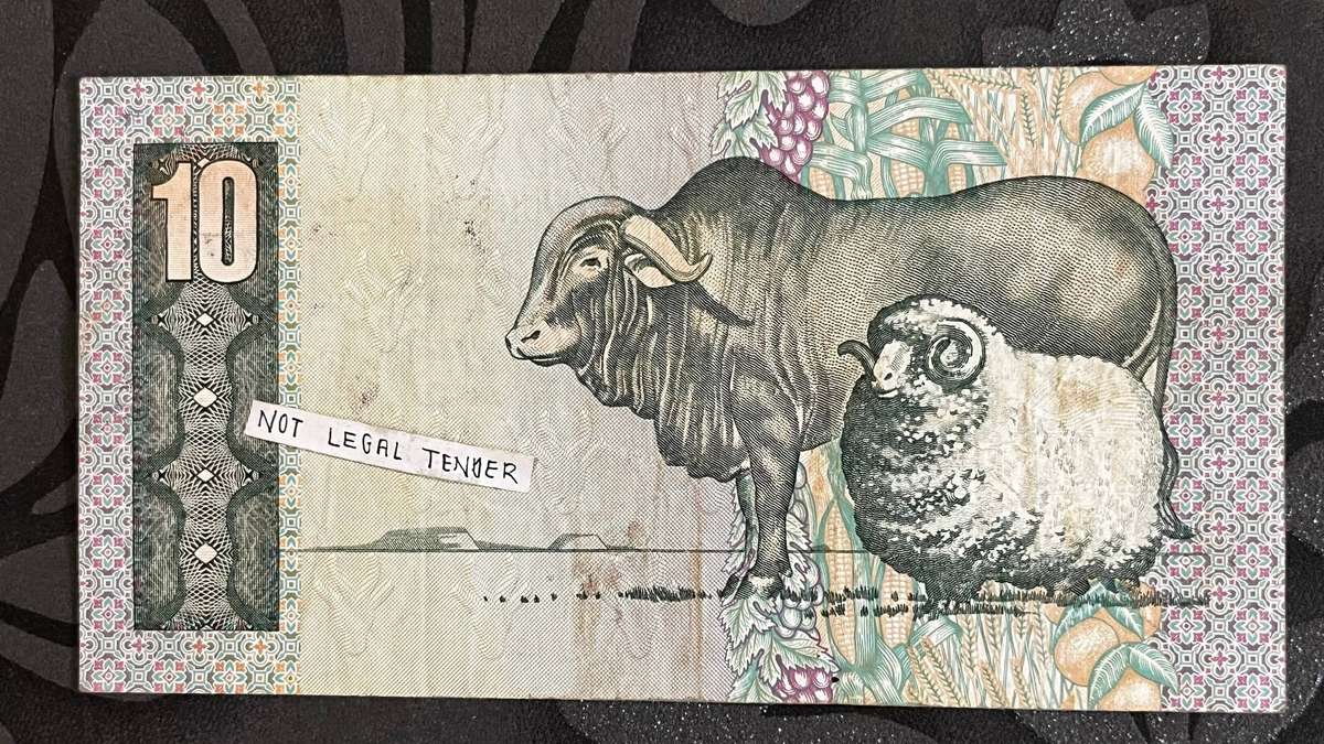 South Africa R10 Banknote