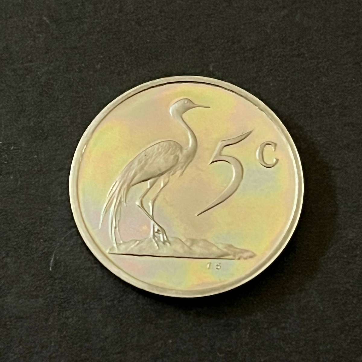  South Africa 5 Cent Coin 1989 Proof High Lustre