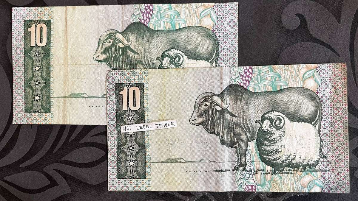 South Africa 10 Rand Banknote x2