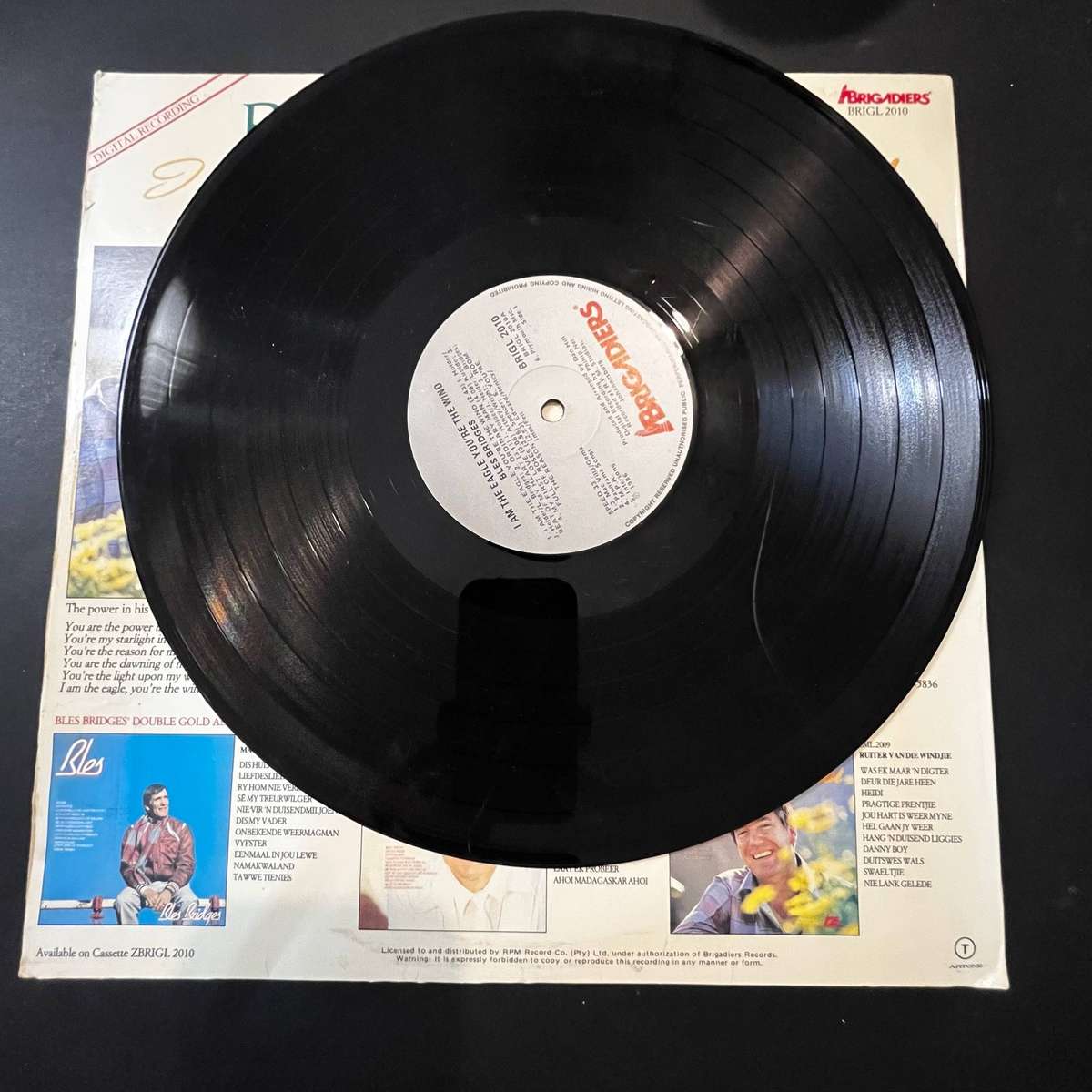Bless Bridges - I am the eagle You're the Wind | Vinyl LP