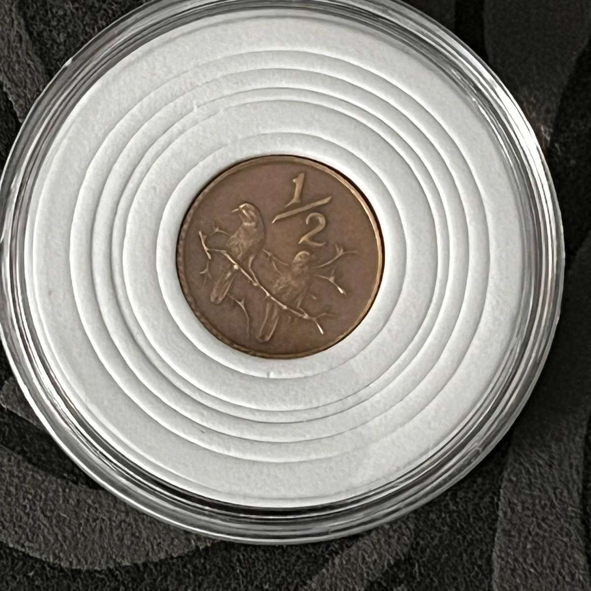South Africa ½ Cent Coin | Bronze | Circulated
