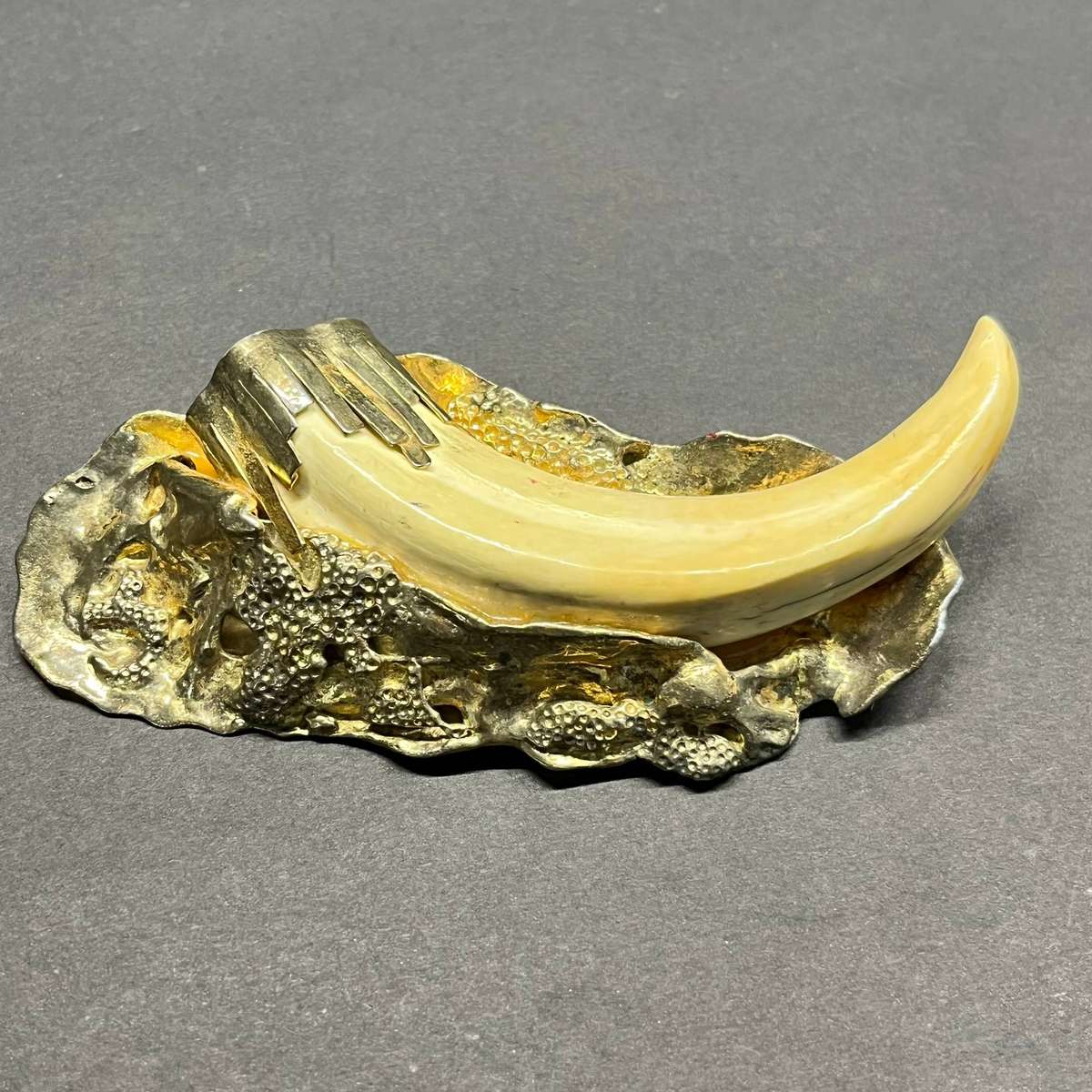  Warthog Tusk Brooch | Gold Plated Sterling Silver Mount