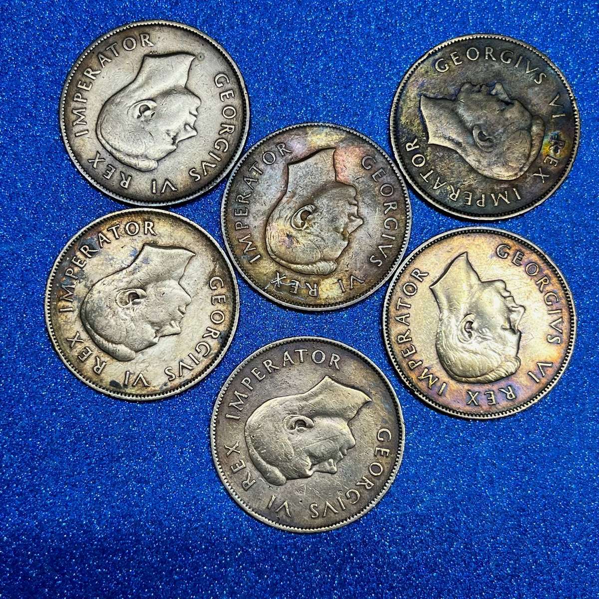  Union of SA Penny Lot