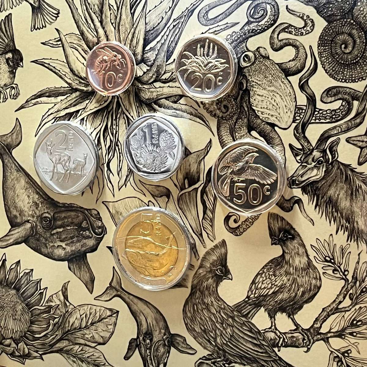  RSA 2023 Fourth Decimal Coin Series  Uncirculated SA Mint Set  Limited Edition