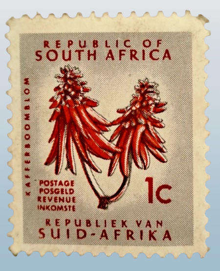 1961-69 SOUTH AFRICA DEFINITIVE ISSUE -1c Flora