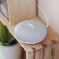 Google Nest Mini Speaker