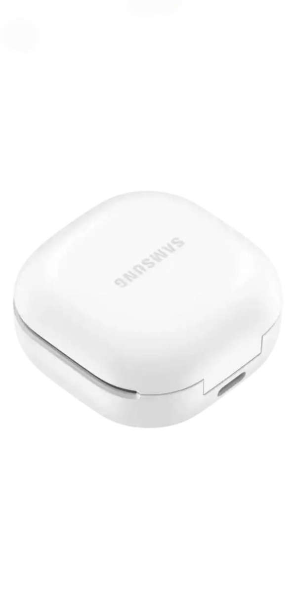 Samsung Galaxy FE Gaphite Buds