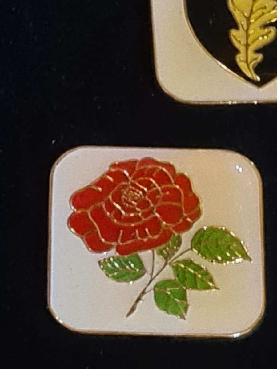 17 collectible rugby pins