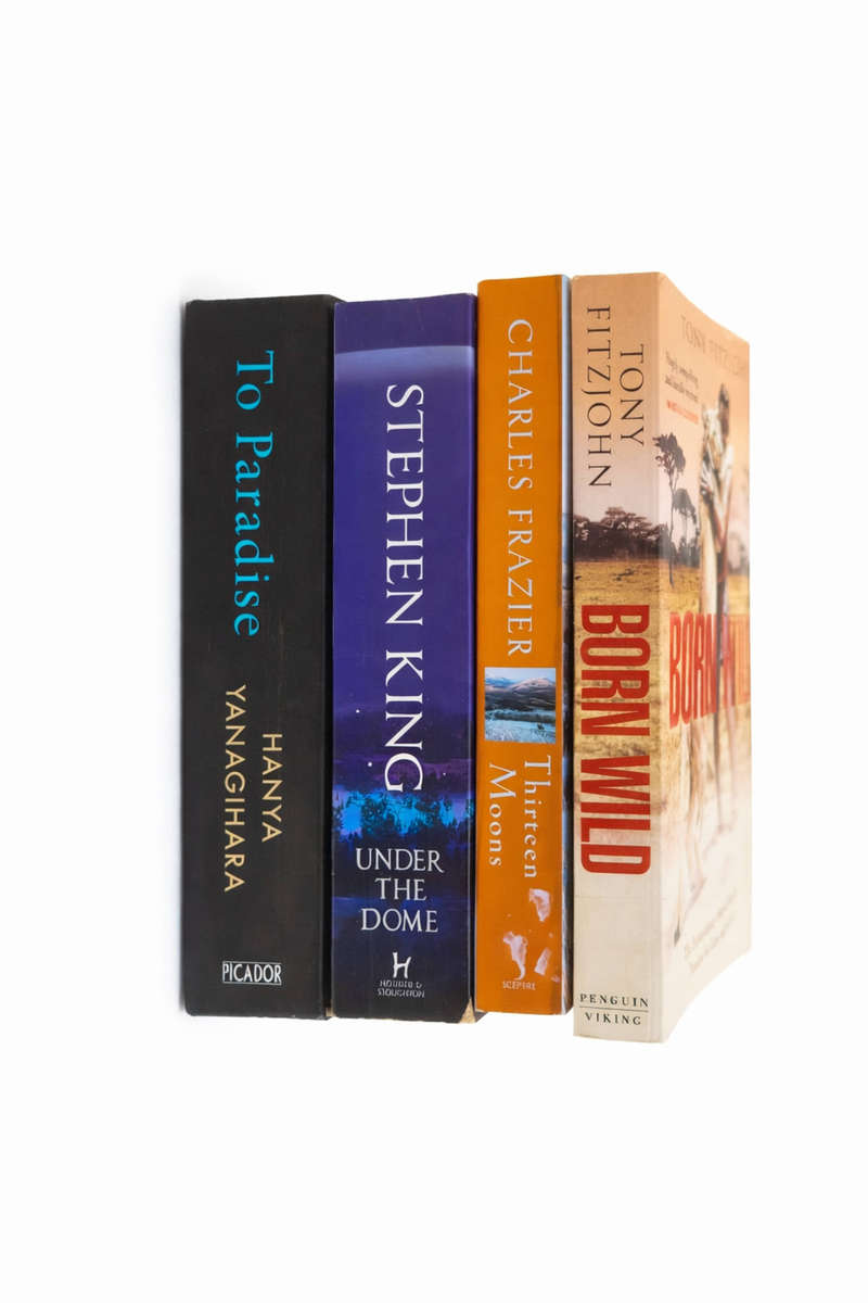Premium Multi-Genre Preloved Book Combo (4 Softcover Novels)