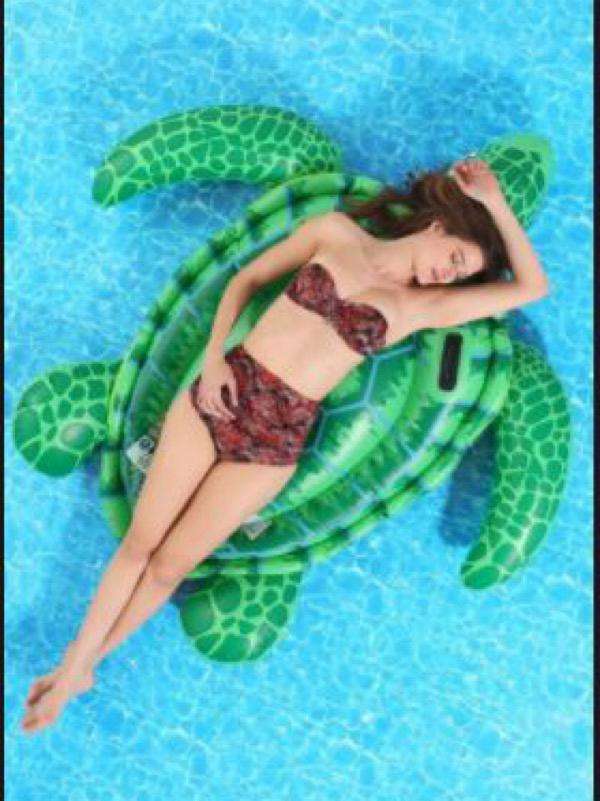 Pool Turtle Float