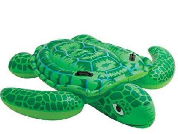 Pool Turtle Float