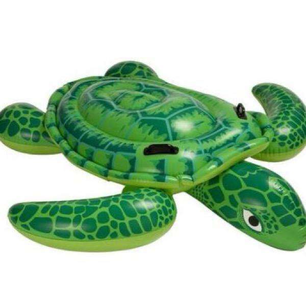 Pool Turtle Float