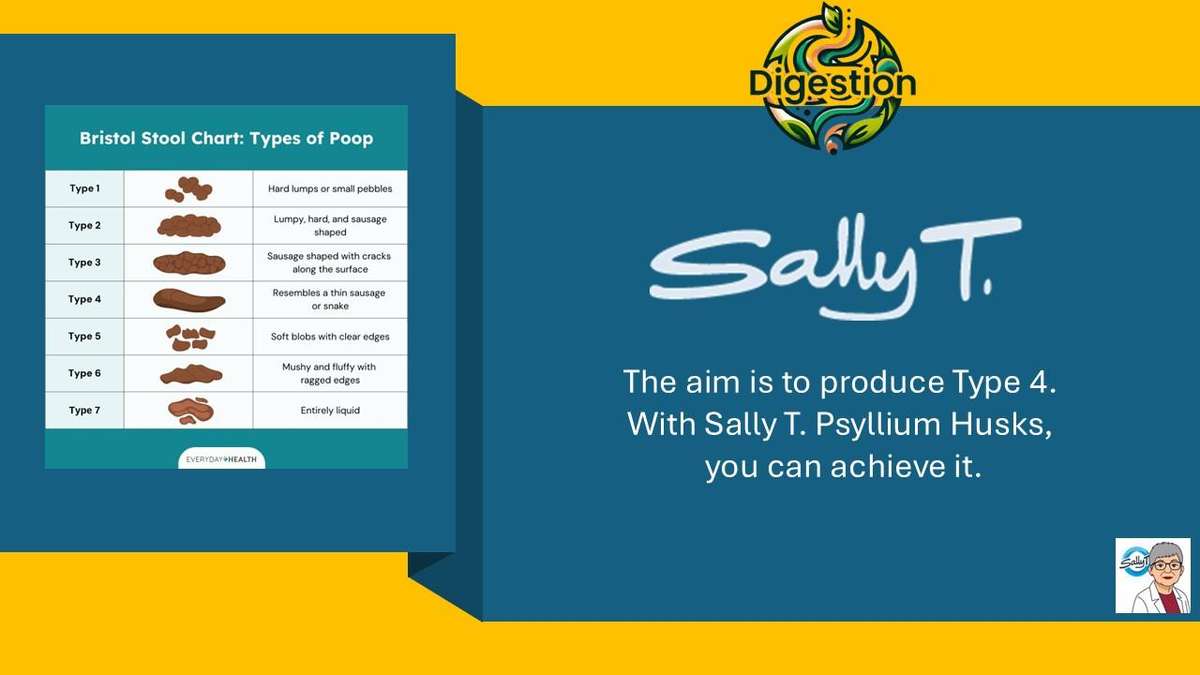 Sally T. Psyllium Husks, 500mg/capsule, 120 capsules. Refined Roughage