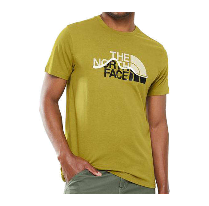 The North Face Mountain line Men's T-Shirt- Sulphur moss