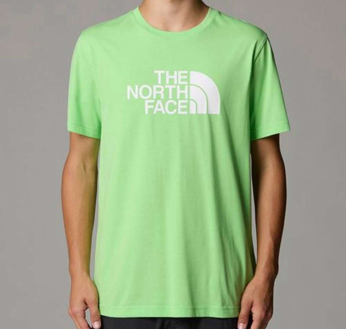 The North Face Mens Short sleeve easy tee - meta lime-tnf white