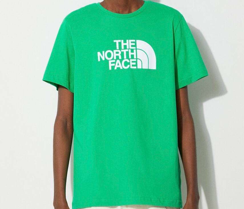 The north face t shirt - mens