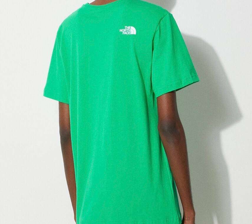 The north face t shirt - mens