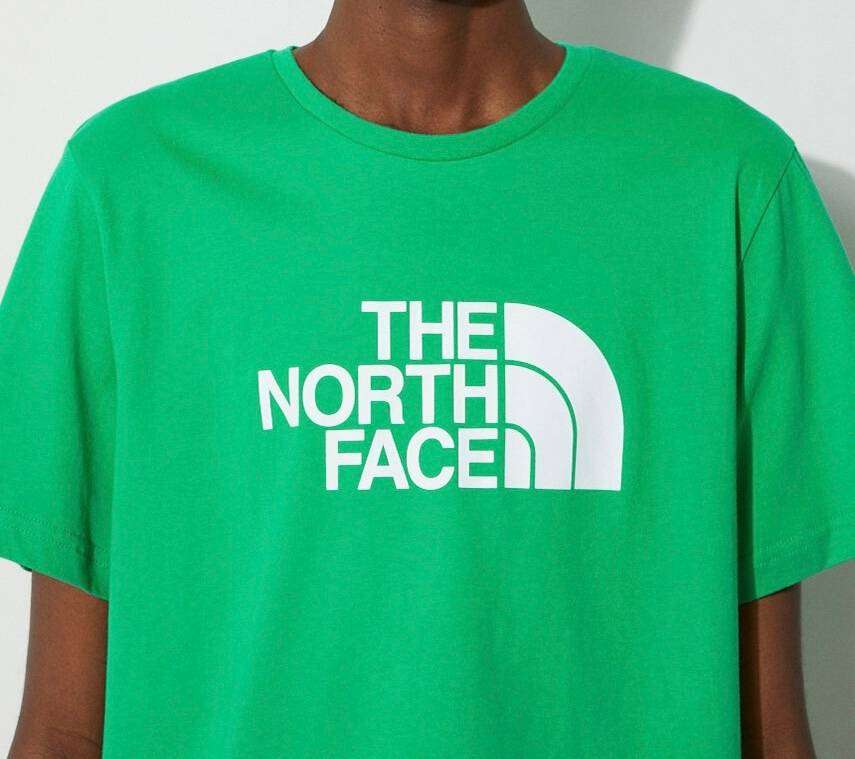 The north face t shirt - mens