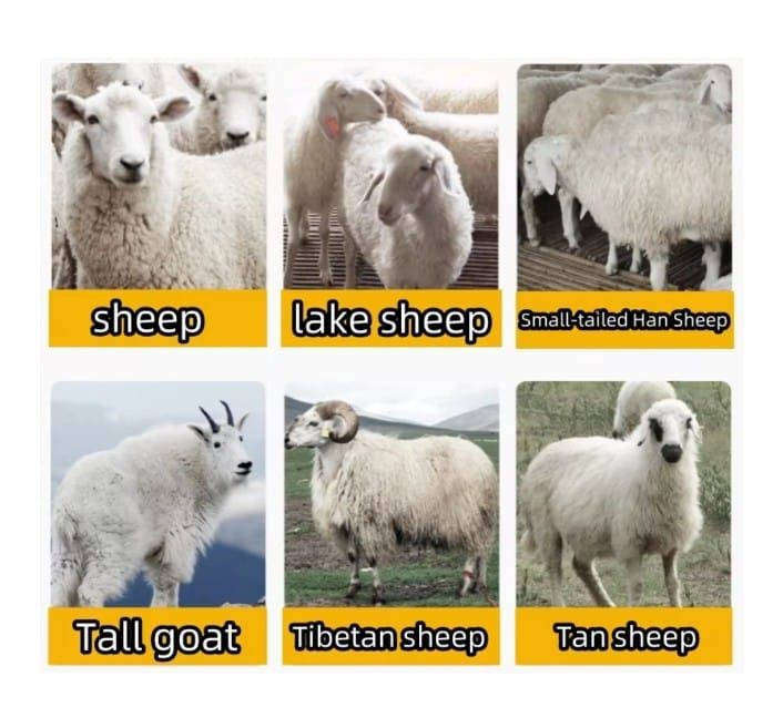 Sheep Goat Electric Flexible Shaft Shearing Machine Wool Clipper Cutter