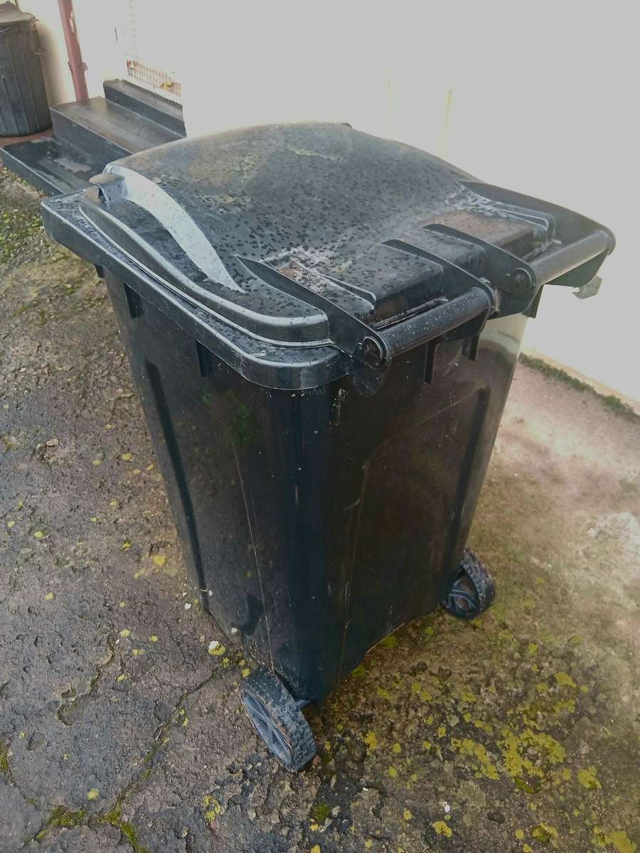 Black wheelie bin 240L