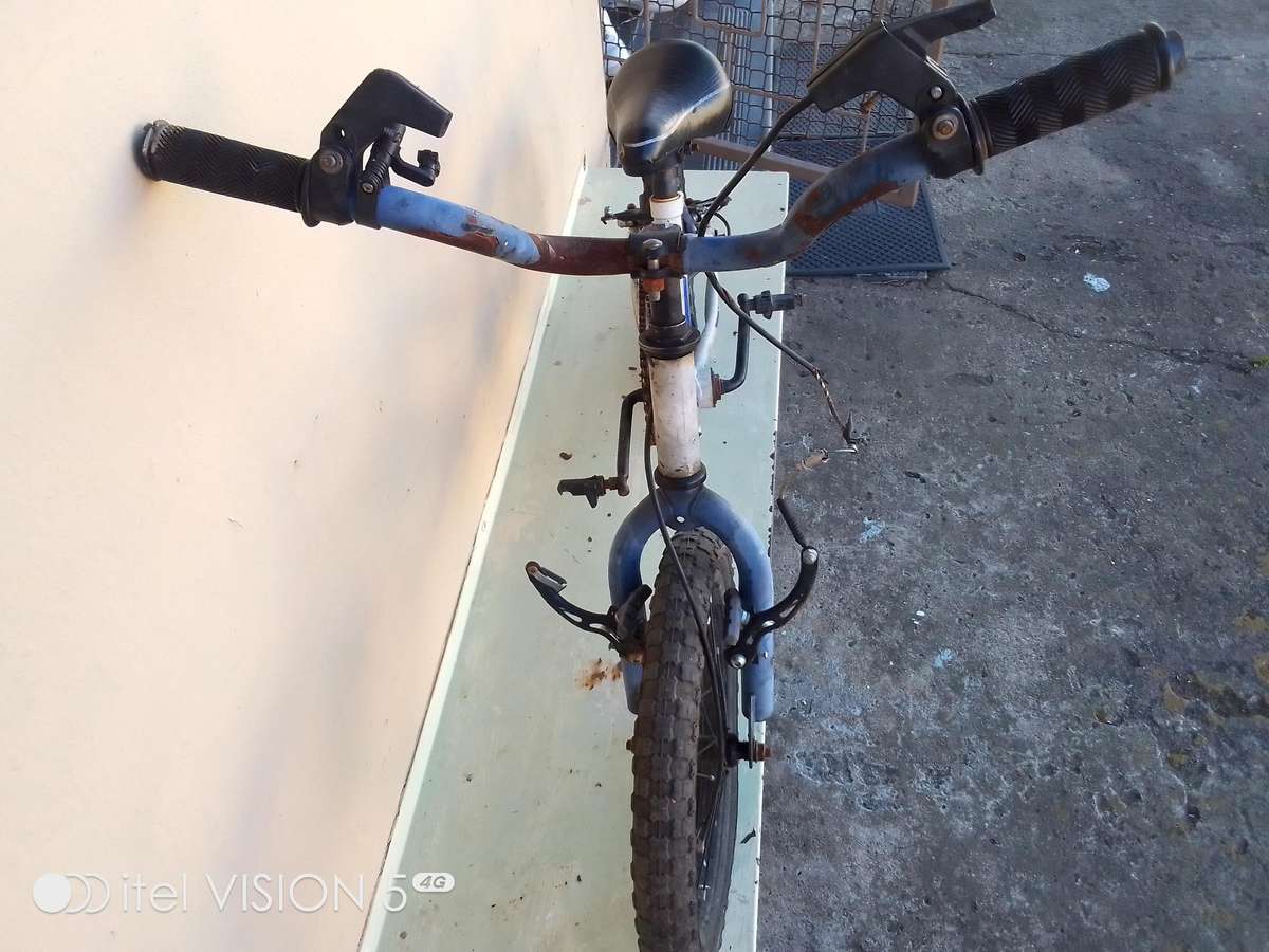 Bmw Raleigh burner 16 inch