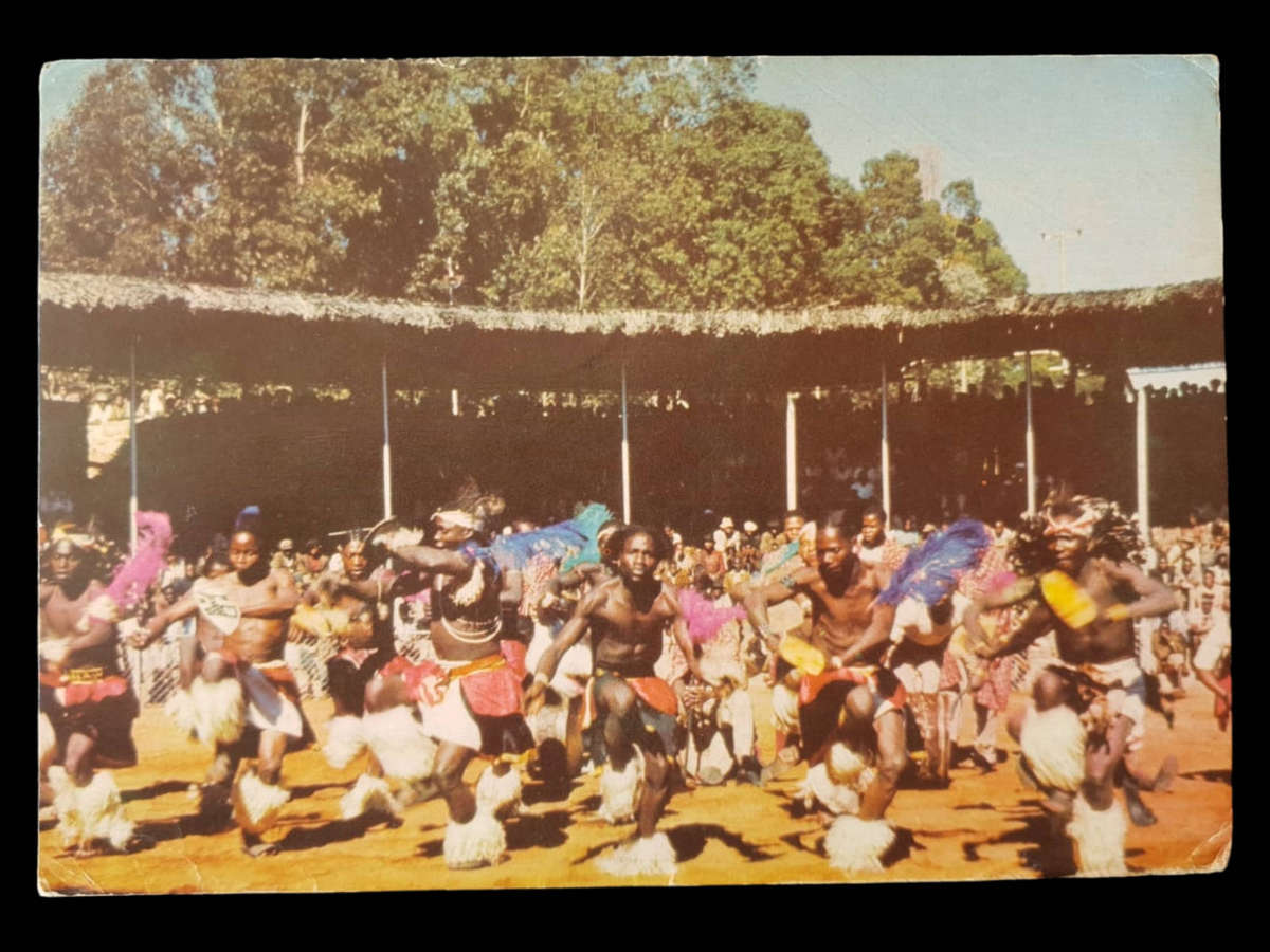 1950s SA postcard  Northern Zulu tribal dancers at a gold-mine arena multi-franked Wild Animals